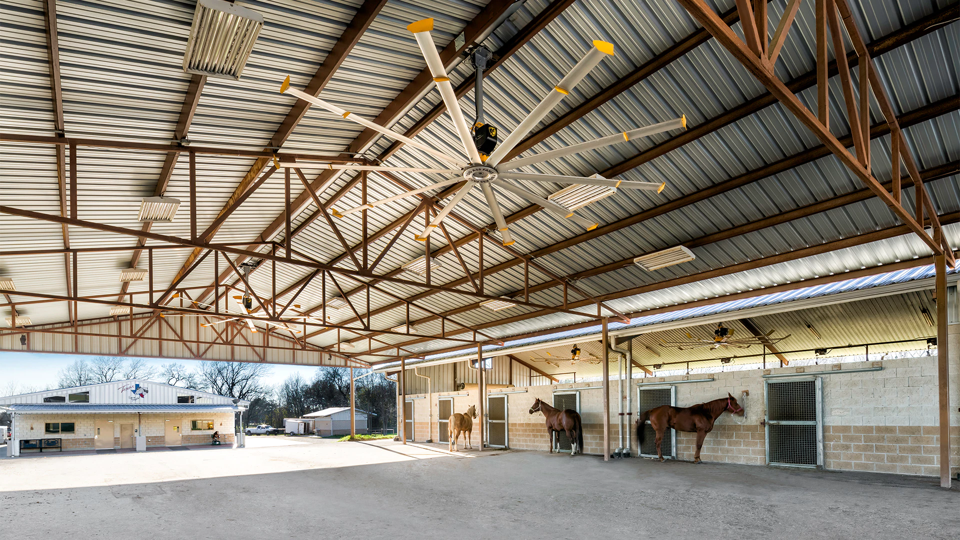 AG_X2_TexasEquineHospital_1H